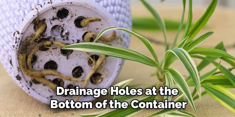 Drainage Holes at the
Bottom of the Container