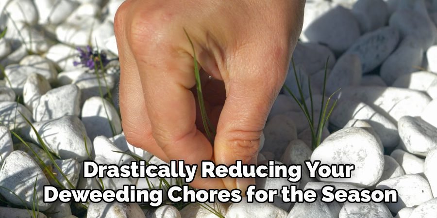 Drastically Reducing Your 
Deweeding Chores for the Season