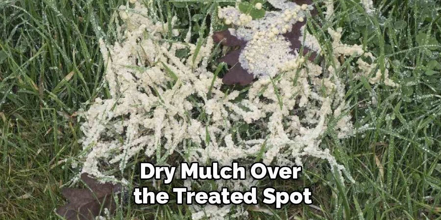 Dry Mulch Over 
the Treated Spot