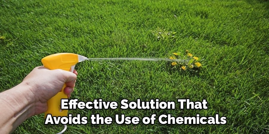Effective Solution That
Avoids the Use of Chemicals