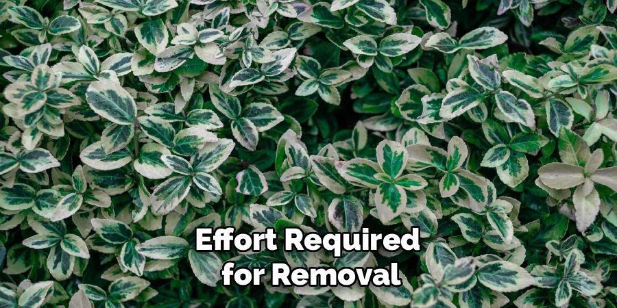 Effort Required 
for Removal