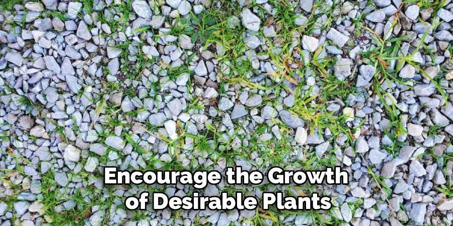Encourage the Growth 
of Desirable Plants
