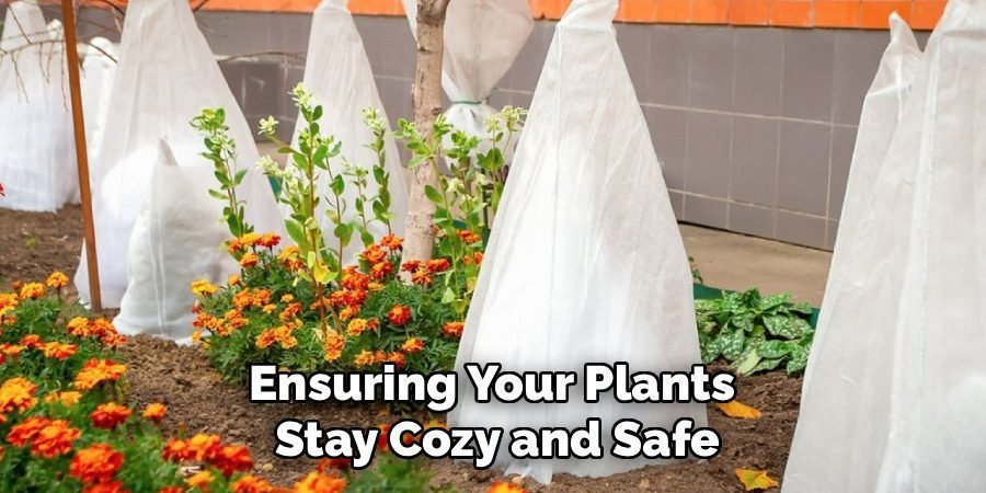 Ensuring Your Plants 
Stay Cozy and Safe