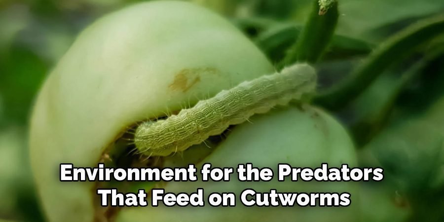 Environment for the Predators 
That Feed on Cutworms
