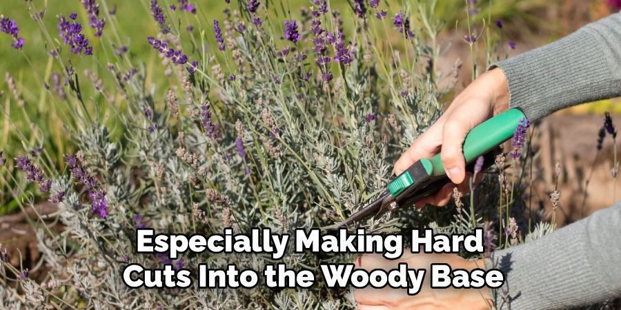 Especially Making Hard 
Cuts Into the Woody Base