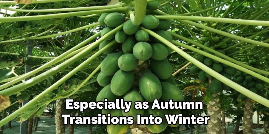 Especially as Autumn 
Transitions Into Winter