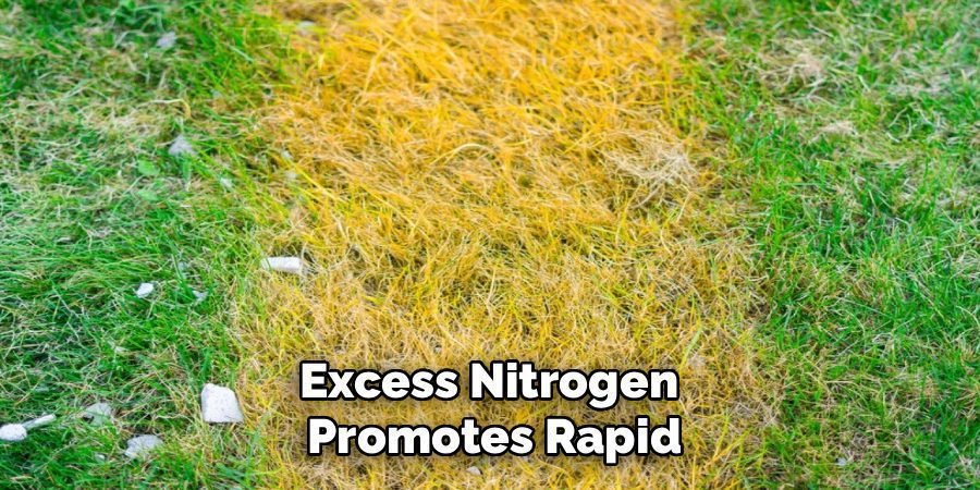 Excess Nitrogen 
Promotes Rapid