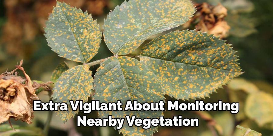 Extra Vigilant About Monitoring
Nearby Vegetation