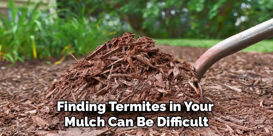 Finding Termites in Your 
Mulch Can Be Difficult