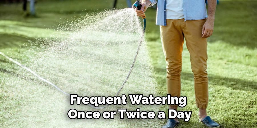 Frequent Watering 
Once or Twice a Day