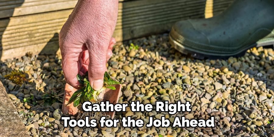 Gather the Right 
Tools for the Job Ahead