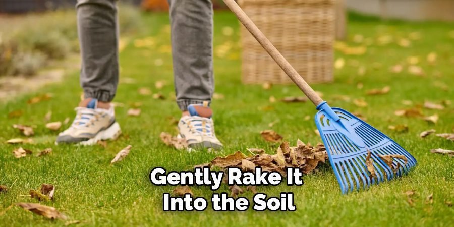 Gently Rake It 
Into the Soil