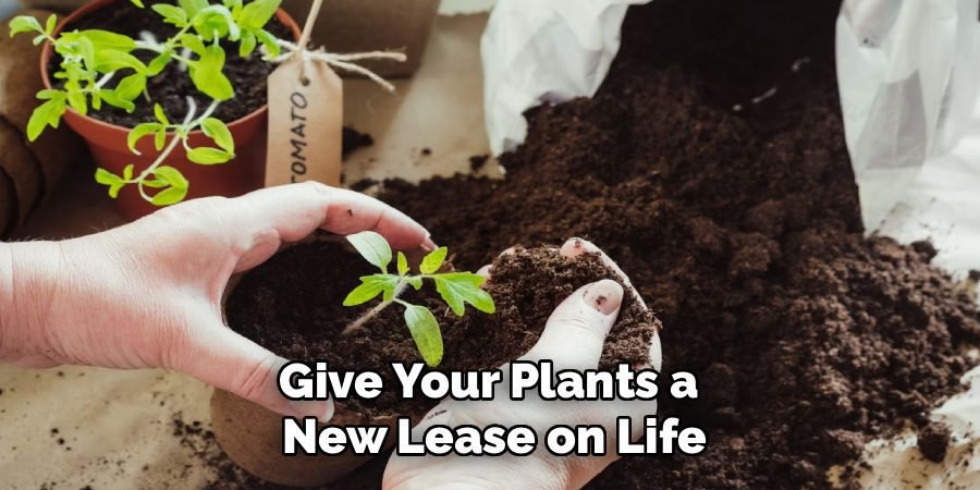Give Your Plants a
New Lease on Life