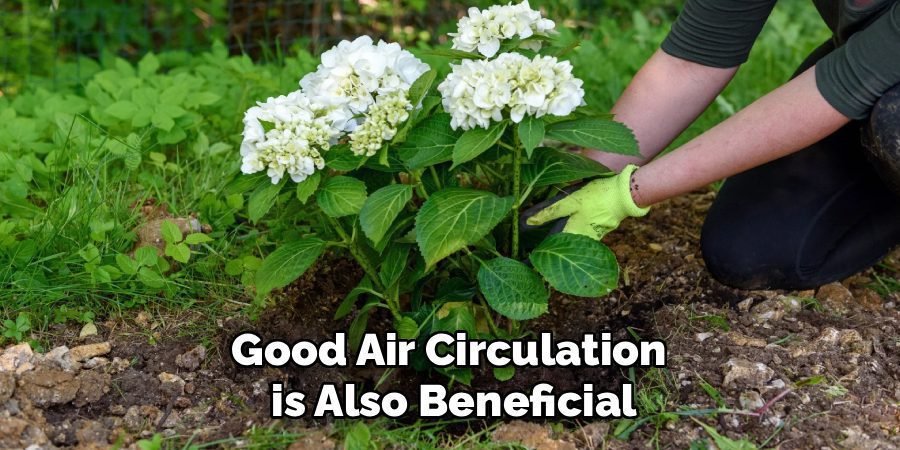 Good Air Circulation 
is Also Beneficial