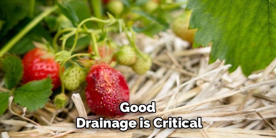 Good 
Drainage is Critical
