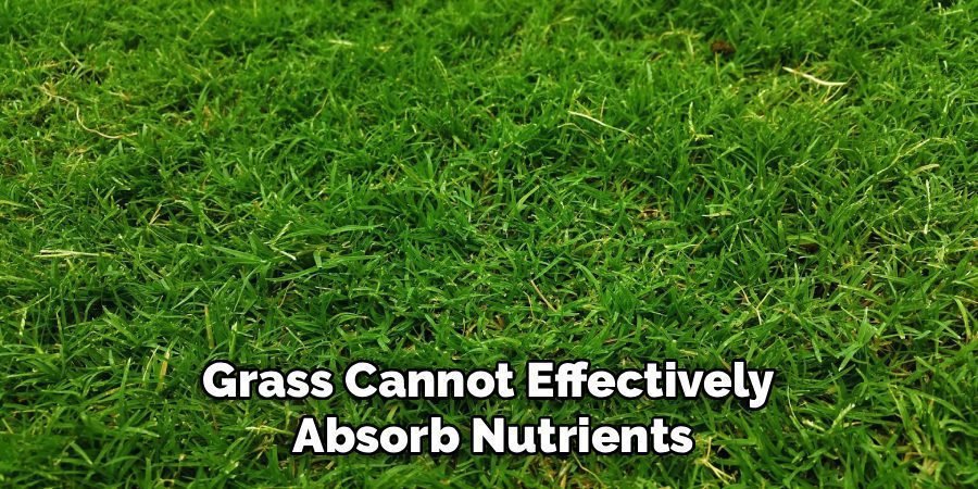 Grass Cannot Effectively
Absorb Nutrients