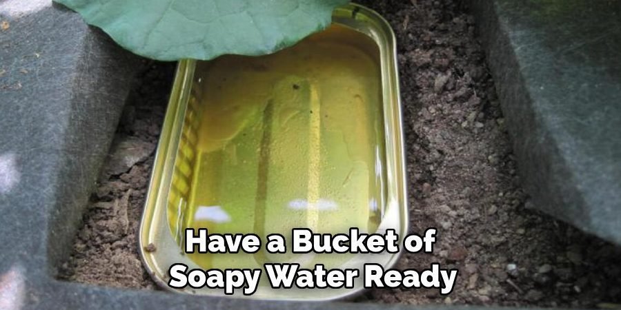 Have a Bucket of
Soapy Water Ready