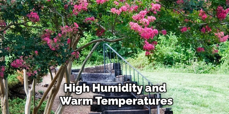 High Humidity and
Warm Temperatures