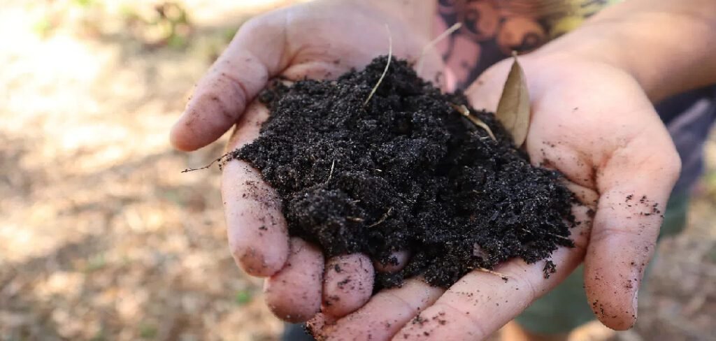 How to Cold Compost