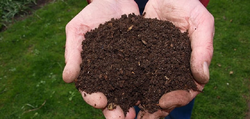 How to Compost Chicken Waste