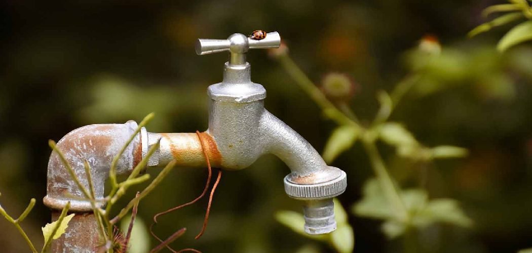How to Dechlorinate Tap Water for Plants