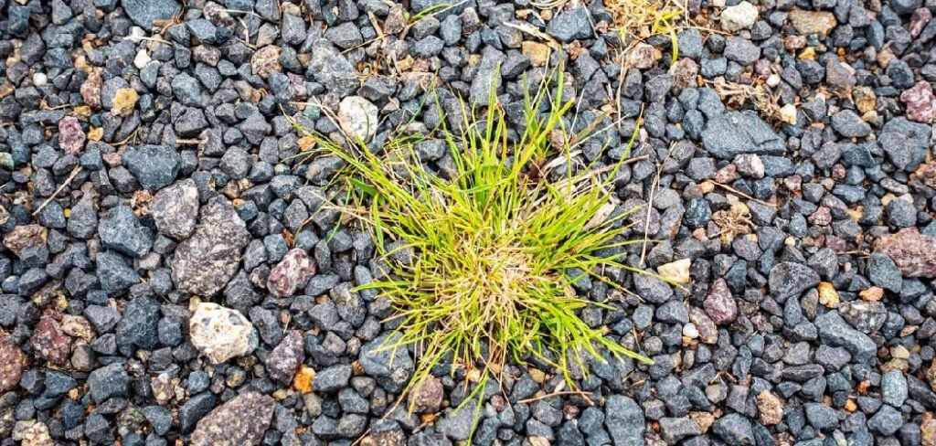 How to Deweed Gravel