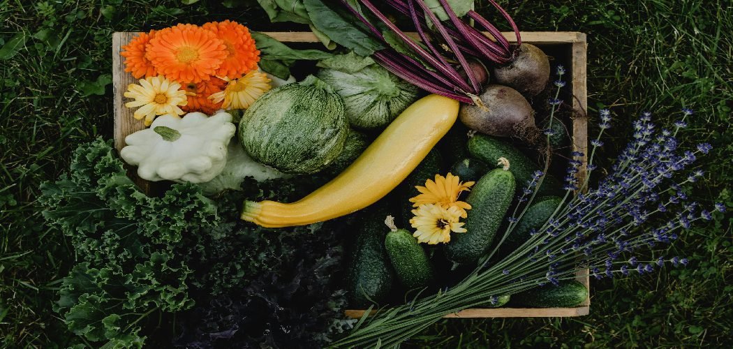How to Fertilize Cucumbers Organically