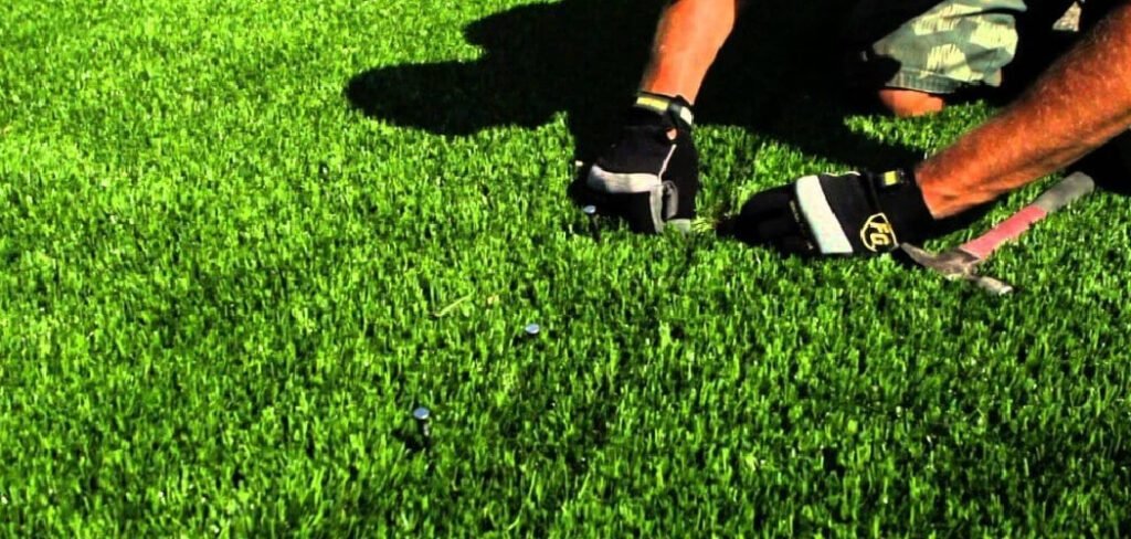 How to Fix Flattened Grass