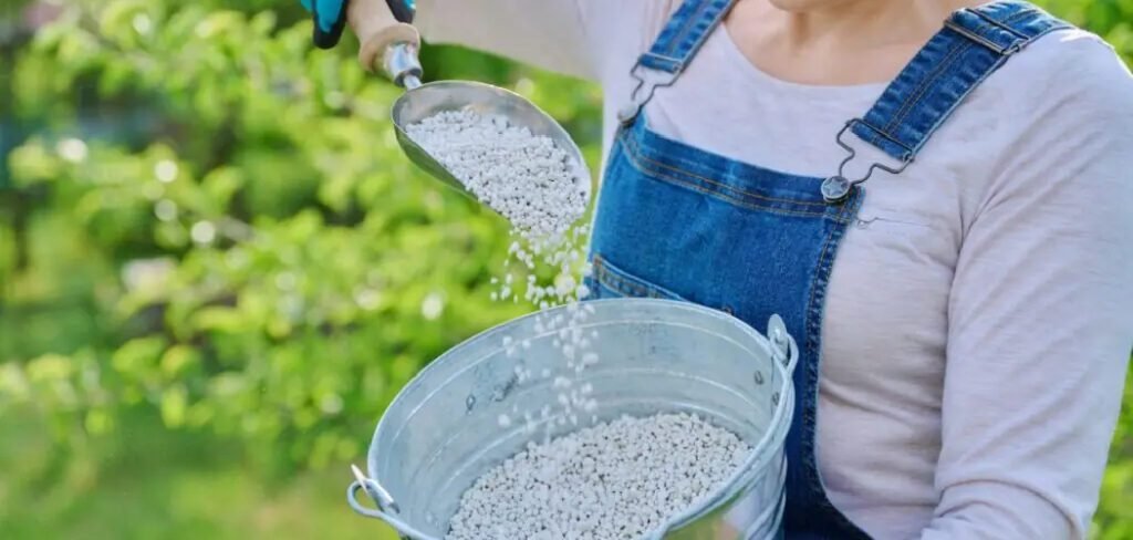 How to Fix Grass Killed by Roundup