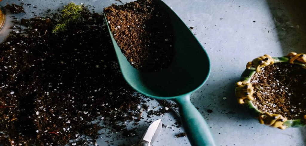 How to Flush Miracle Grow Soil for Healthier Plants