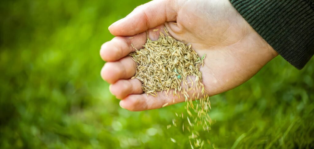 How to Keep Grass Seed From Washing Away