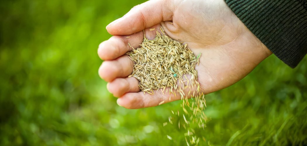 How to Keep Grass Seed From Washing Away