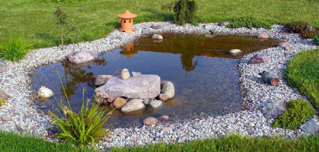 How to Keep Moss Out of Garden Pond