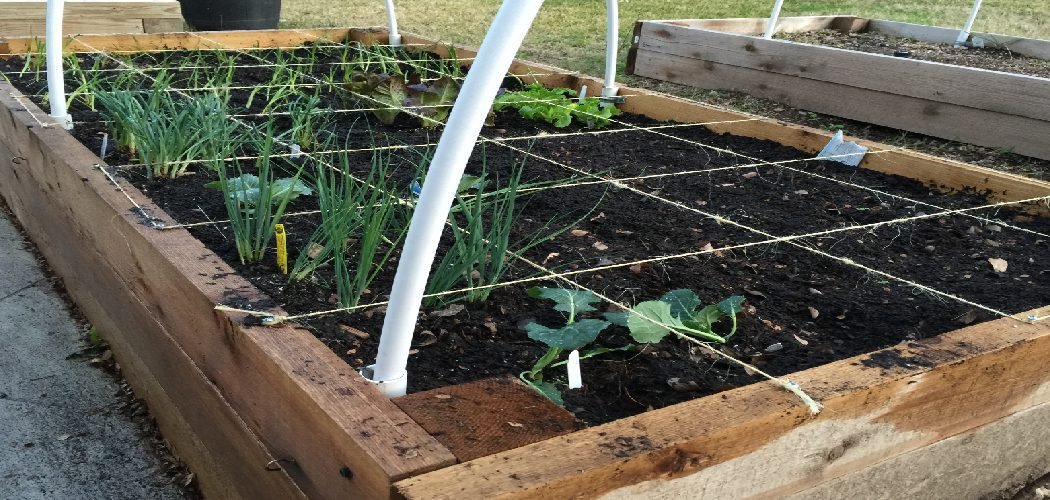 How to Keep Raised Bed from Bowing