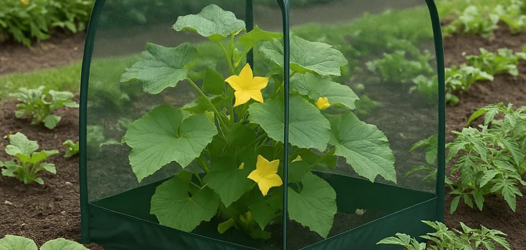 How to Make Chicken Wire Plant Protectors