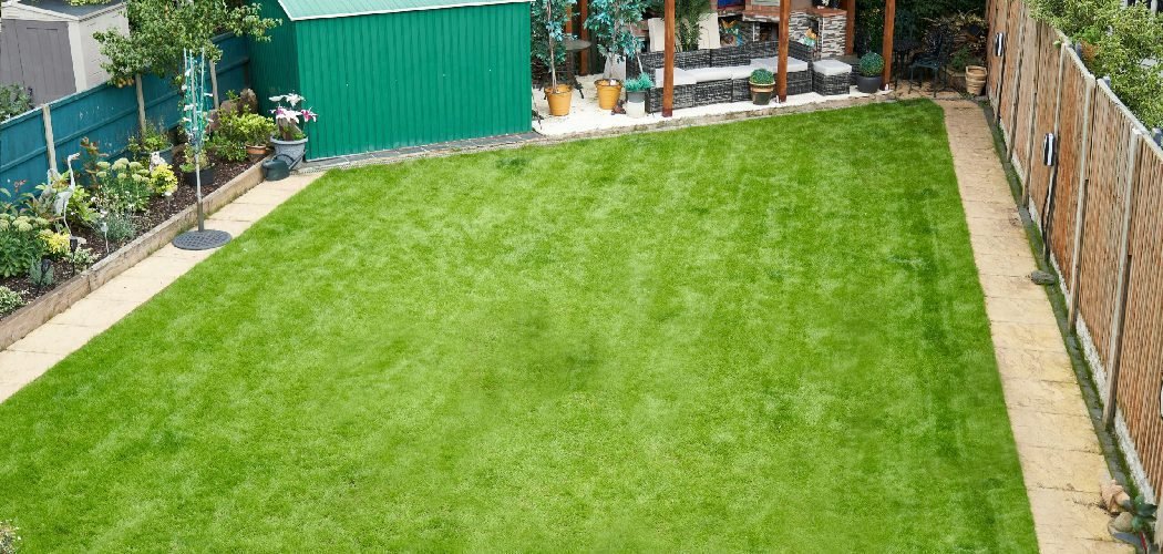 How to Make Lawn Dark Green