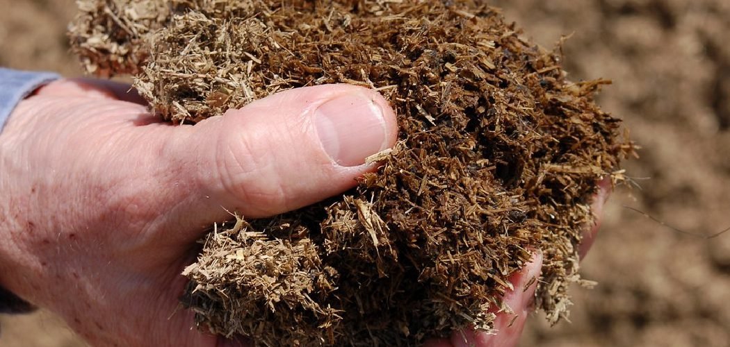 How to Pasteurize Manure Substrate