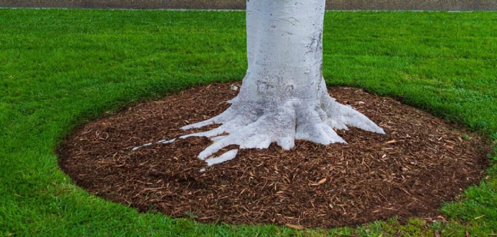 How to Prevent Weeds Around Trees