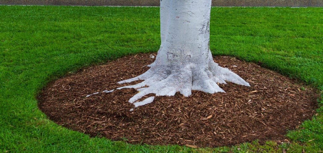 How to Prevent Weeds Around Trees