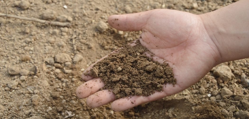 How to Stabilize Sandy Soil