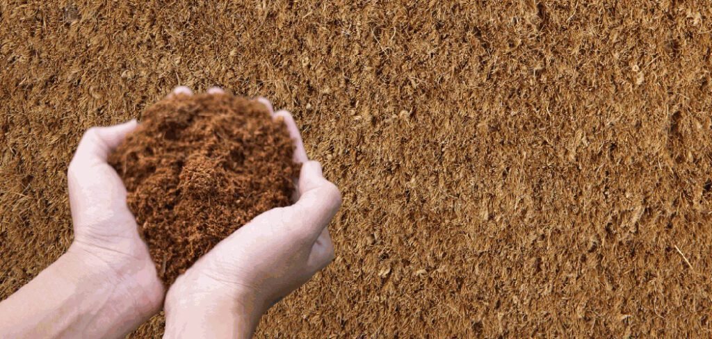 How to Sterilize Coco Coir
