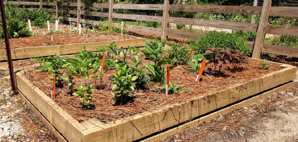 How to Stop Raised Beds Rotting