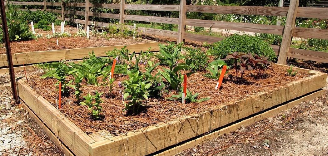 How to Stop Raised Beds Rotting