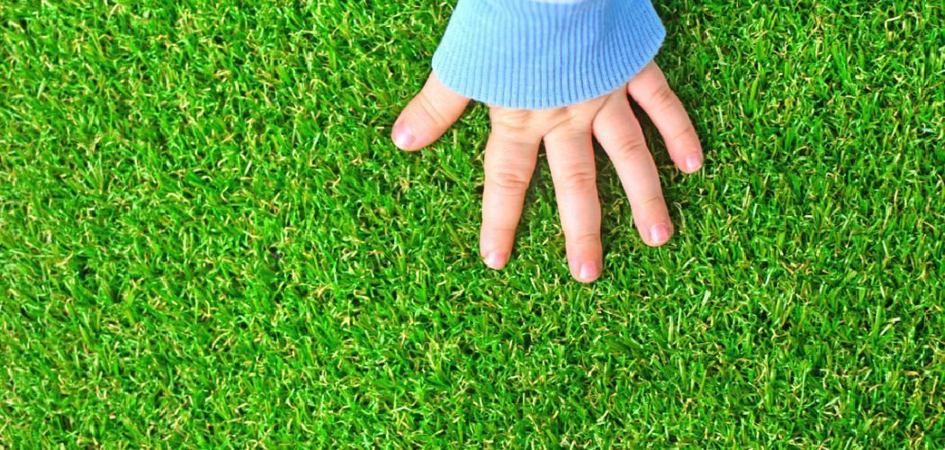 How to Take Care of Turf Grass