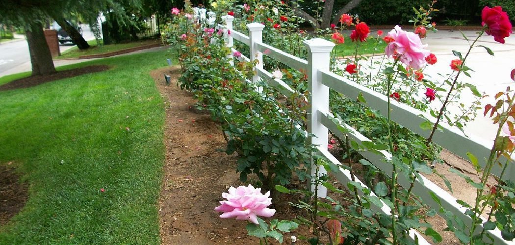 How to Use Cattle Panels in the Garden