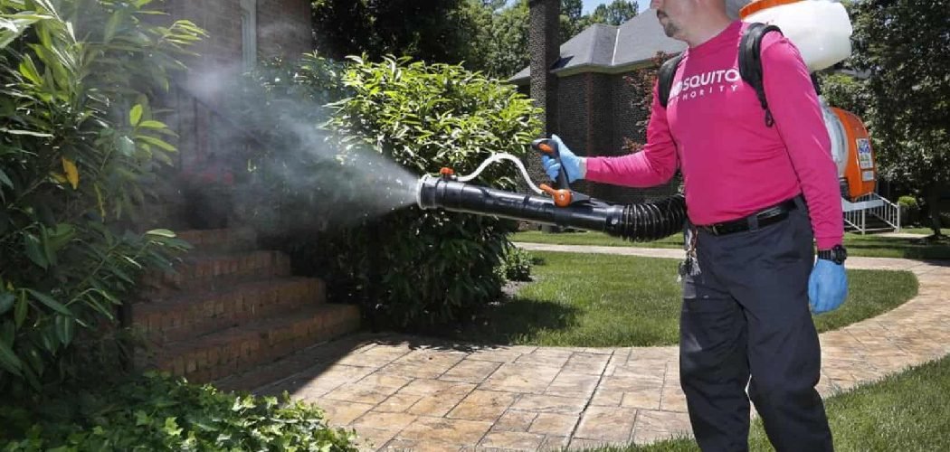 How to Use Mosquito Dunks in Potted Plants