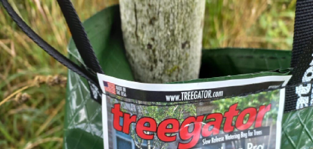 How to Use Tree Watering Bags