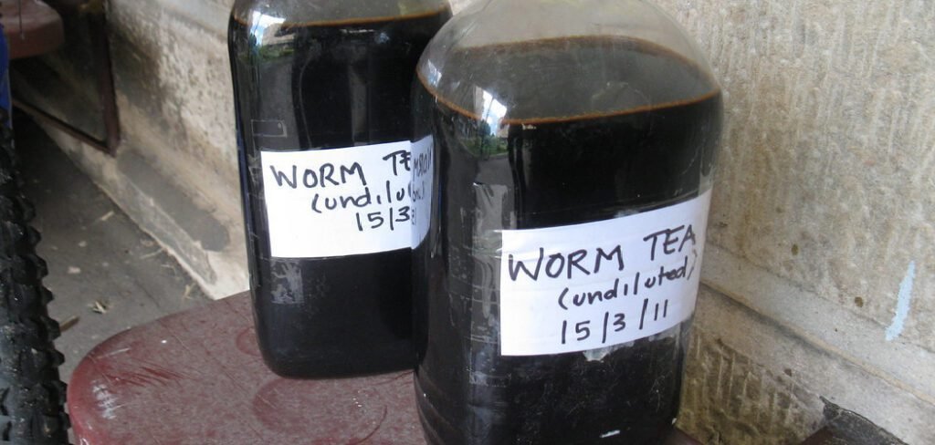 How to Use Worm Tea