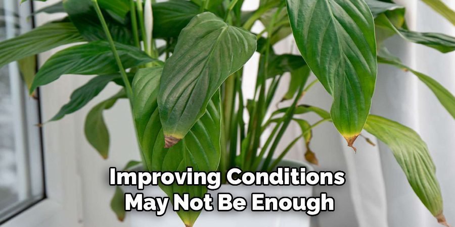 Improving Conditions 
May Not Be Enough