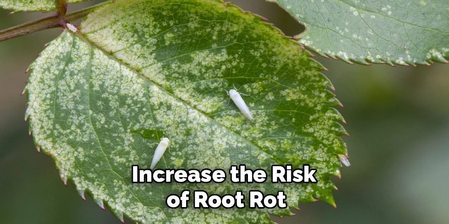 Increase the Risk
of Root Rot
